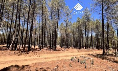 Terrenos Preventa Tapalpa TAIGA Fraccionamiento Campestre