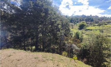 se vende casa finca Guarne  sector san jose variante aeropuerto
