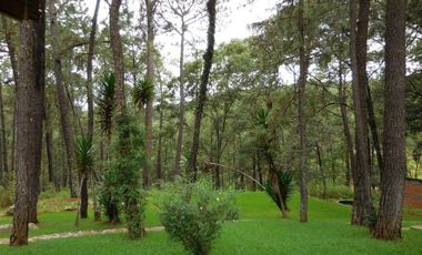 Cabaña con gran terreno en venta en Mazamitla
