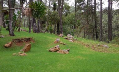 Cabaña con gran terreno en venta en Mazamitla