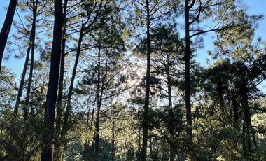 Cabaña con gran terreno en venta en Mazamitla