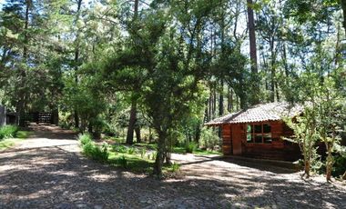 Cabaña con gran terreno en venta en Mazamitla