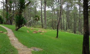 Cabaña con gran terreno en venta en Mazamitla