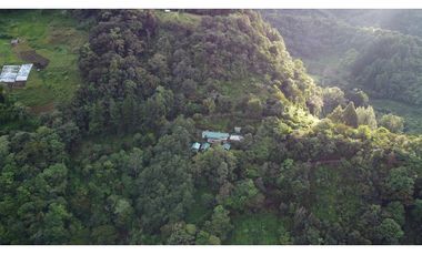 VENDO HOTEL - BOUTIQUE UNICO EN BOQUETE