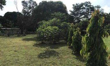 VENTA DE TERRENO EN LAS LAJAS, CERCA DE CORONADO