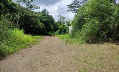 Terreno Industrial en Cardenas