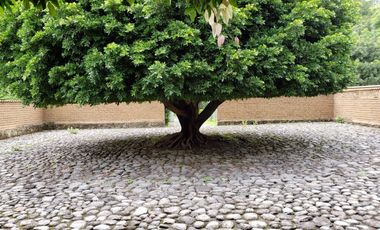 Tepoztlan Plano vista a las montañas una belleza