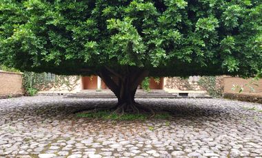 Tepoztlan Plano vista a las montañas una belleza