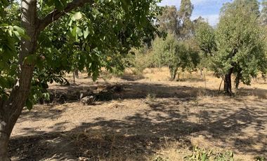 Terreno, 2 Casas En El Manzano, 6.220 M² Y Derechos De Agua