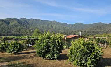Hermosa Parcela con casa Camino F50 Los Perales