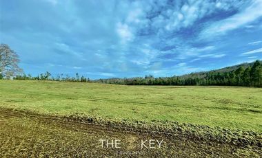 Parcela en Venta en Camino Villarrica Loncoche - Hacienda Huellanto.
