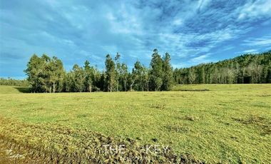 Parcela en Venta en Camino Villarrica Loncoche - Hacienda Huellanto.