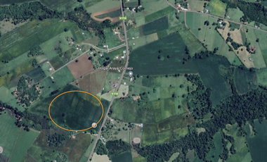 Parcela en Venta en Paraguay Chico, Los Muermos