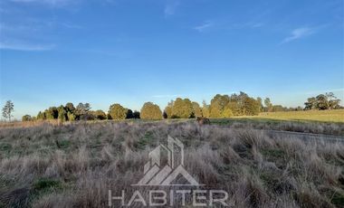Parcela en Venta en Sector Loncotoro ,a 11 Km de Llanquihue -.