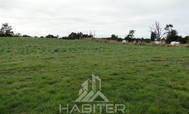 Parcela en Venta en Sector Loncotoro ,a 11 Km de Llanquihue -.