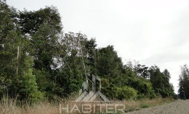 Parcela en Venta en Sector Loncotoro ,a 11 Km de Llanquihue -.