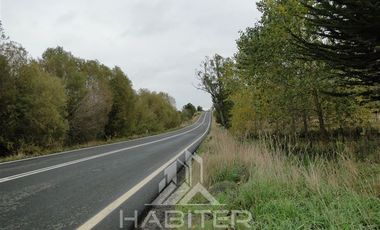 Parcela en Venta en Sector Loncotoro ,a 11 Km de Llanquihue -.