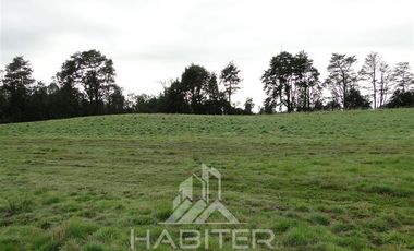 Parcela en Venta en Sector Loncotoro ,a 11 Km de Llanquihue -.