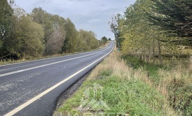 Parcela en Venta en Sector Loncotoro ,a 11 Km de Llanquihue -.