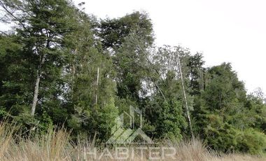 Parcela en Venta en Sector Loncotoro ,a 11 Km de Llanquihue -.