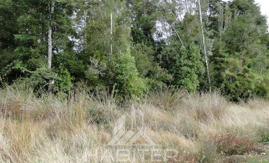 Parcela en Venta en Sector Loncotoro ,a 11 Km de Llanquihue -.