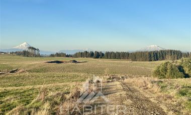 Parcela en Venta en Sector Loncotoro ,a 11 Km de Llanquihue -.