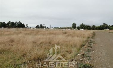 Parcela en Venta en Sector Loncotoro ,a 11 Km de Llanquihue -.