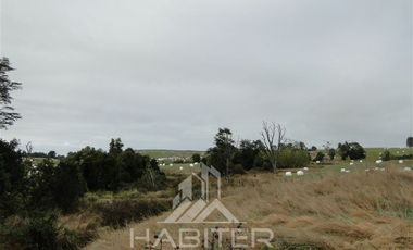 Parcela en Venta en Sector Loncotoro ,a 11 Km de Llanquihue -.