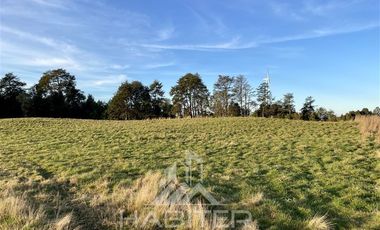 Parcela en Venta en Sector Loncotoro ,a 11 Km de Llanquihue -.