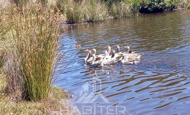 Parcela en Venta en Laguna Avellanito