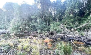 Parcela en Venta en Los Maderos de Puerto Varas