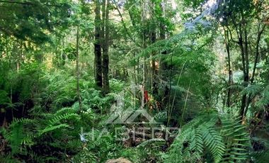 Parcela en Venta en Los Maderos de Puerto Varas