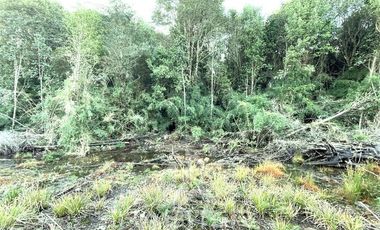 Parcela en Venta en Los Maderos de Puerto Varas