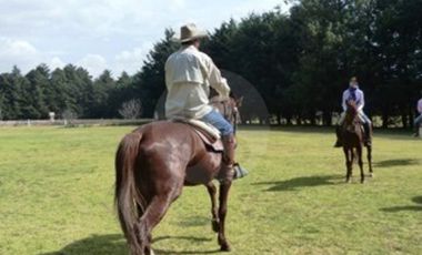 Finca en venta en Toluca