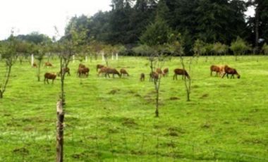 Finca en venta en Toluca