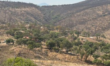 Terreno San Isidro Mazatepec, predio Totoltepec