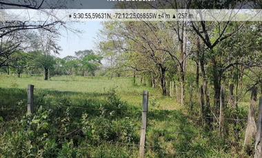 FINCA AGROGANADERA - NUNCHIA, CASANARE,