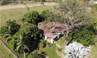 FINCA AGROGANADERA - NUNCHIA, CASANARE,