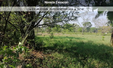 FINCA AGROGANADERA - NUNCHIA, CASANARE,