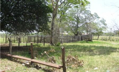 FINCA AGROGANADERA - NUNCHIA, CASANARE,