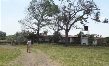 FINCA AGROGANADERA - NUNCHIA, CASANARE,