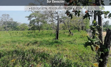 FINCA AGROGANADERA - NUNCHIA, CASANARE,
