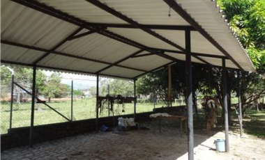 FINCA AGROGANADERA - NUNCHIA, CASANARE,