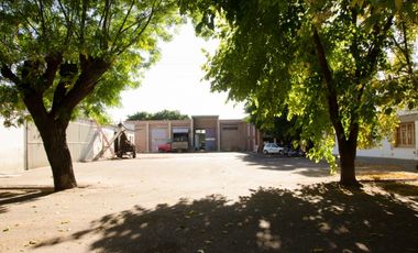 BODEGA, FINCA OPORTUNIDAD SAN RAFAEL