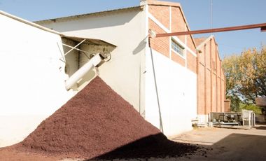 BODEGA, FINCA OPORTUNIDAD SAN RAFAEL