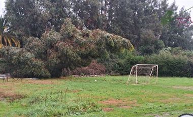 Casa en Arriendo en Las Acacias - Talagante