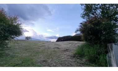 VENTA DE LOTE EN LA CEJA, EN PARCELACIÓN