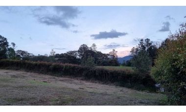 VENTA DE LOTE EN LA CEJA, EN PARCELACIÓN