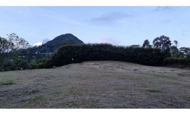 VENTA DE LOTE EN LA CEJA, EN PARCELACIÓN