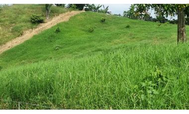 VENTA FINCA BUENA VISTA QUINDIO